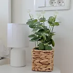 Apartamento Iva