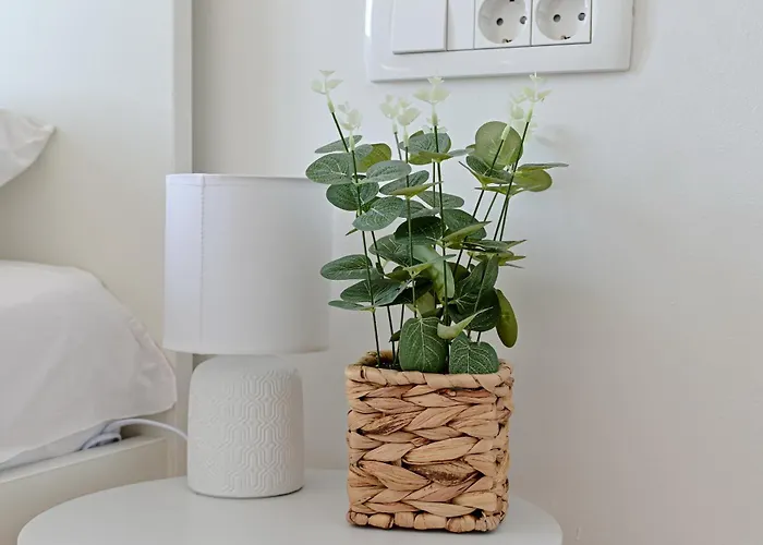Apartament Iva