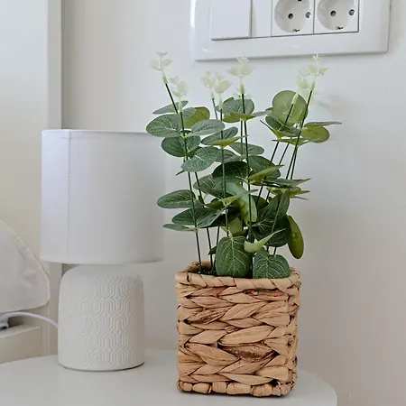 Apartment Iva